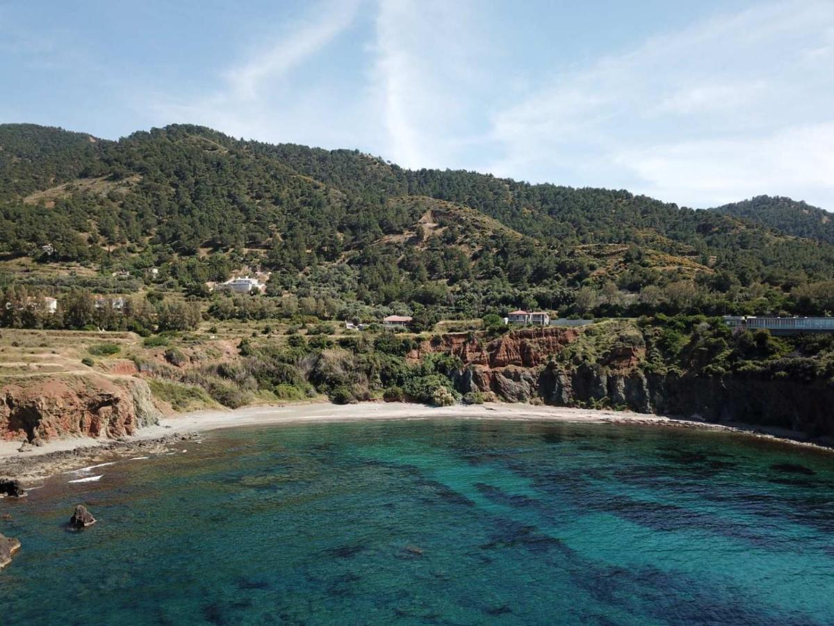 Paradise Blue Villa Pomos Eksteriør billede